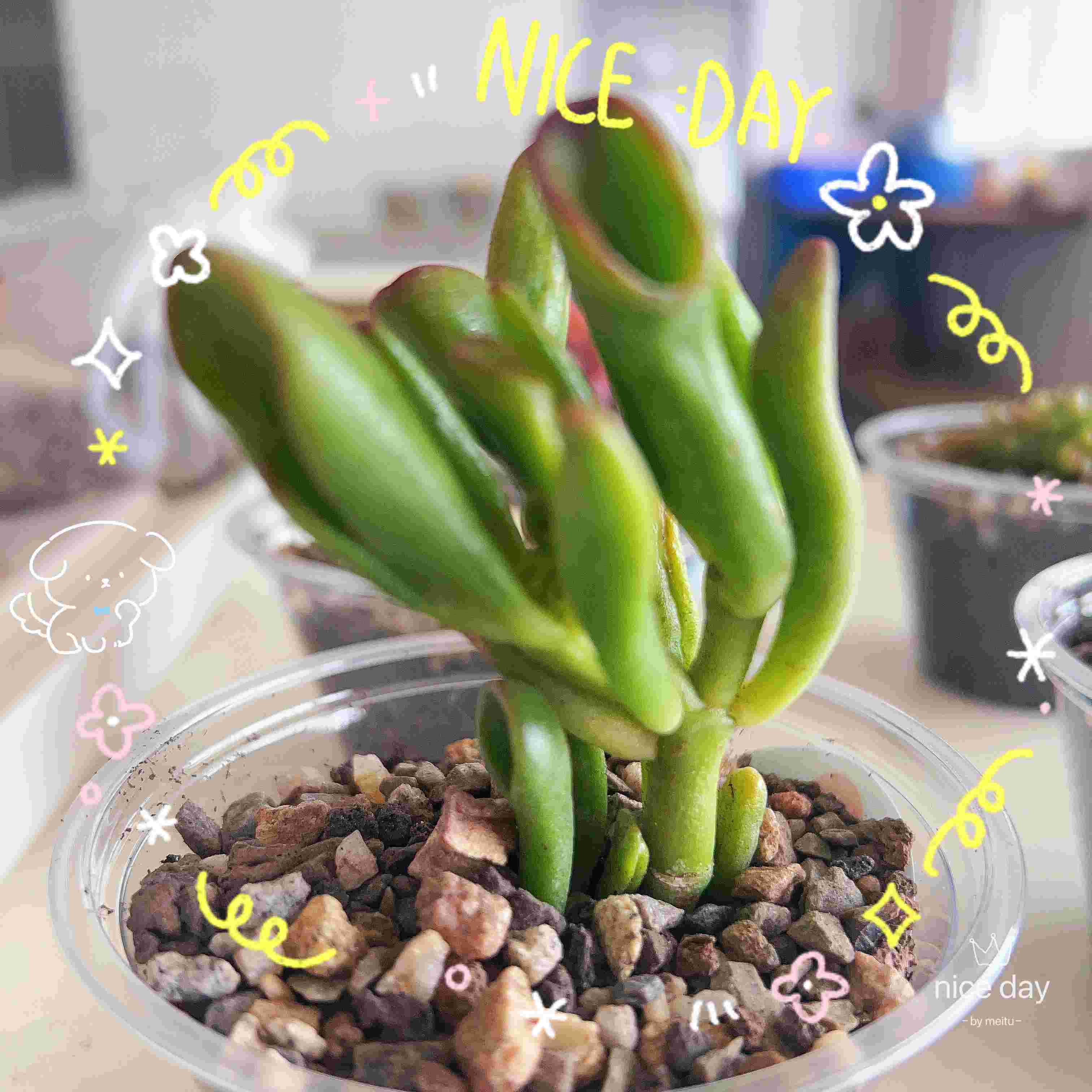 2101741855974697.jpg IMG_2738(1).jpg