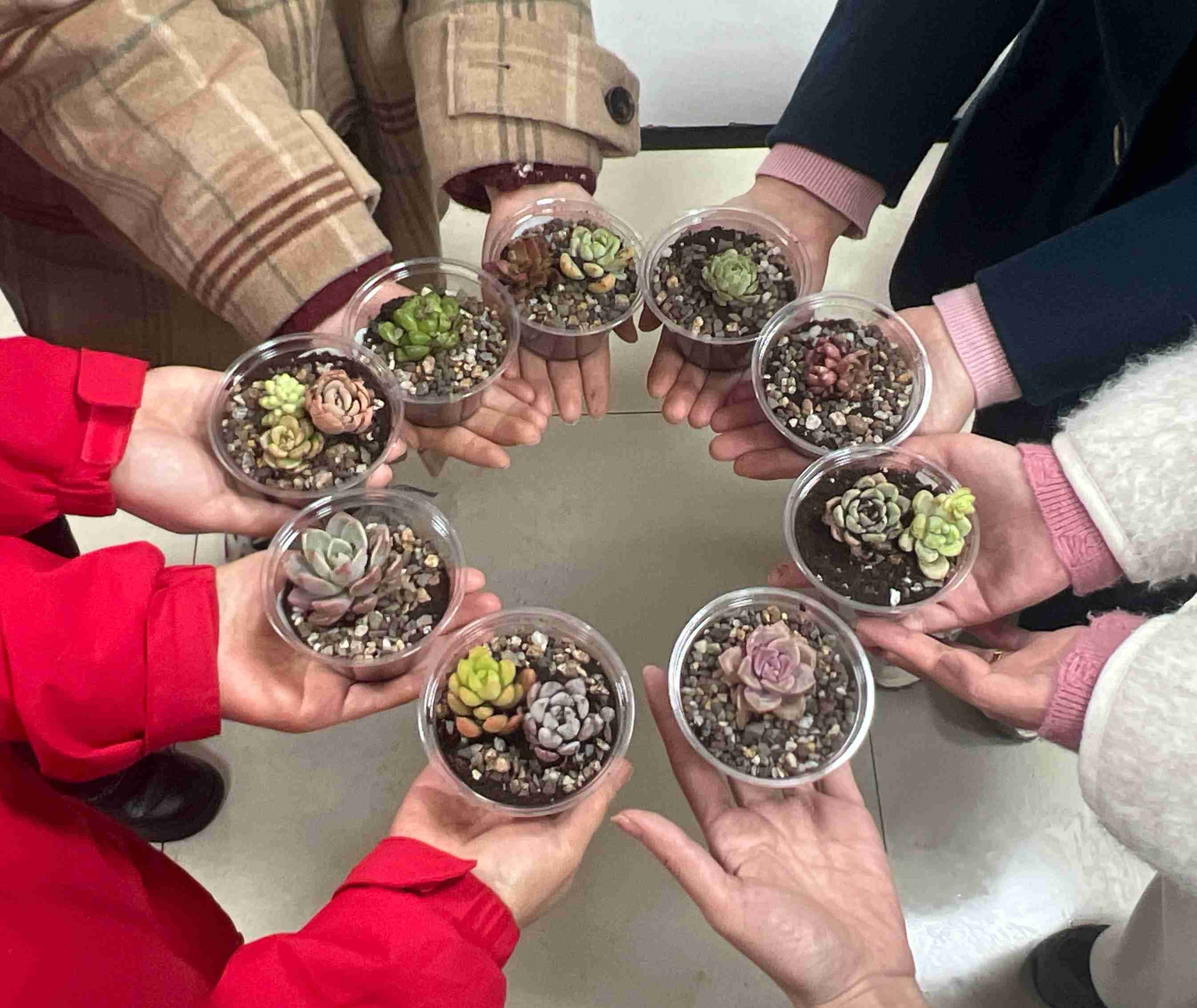 3191741855725817.jpg IMG_0112(1).jpg